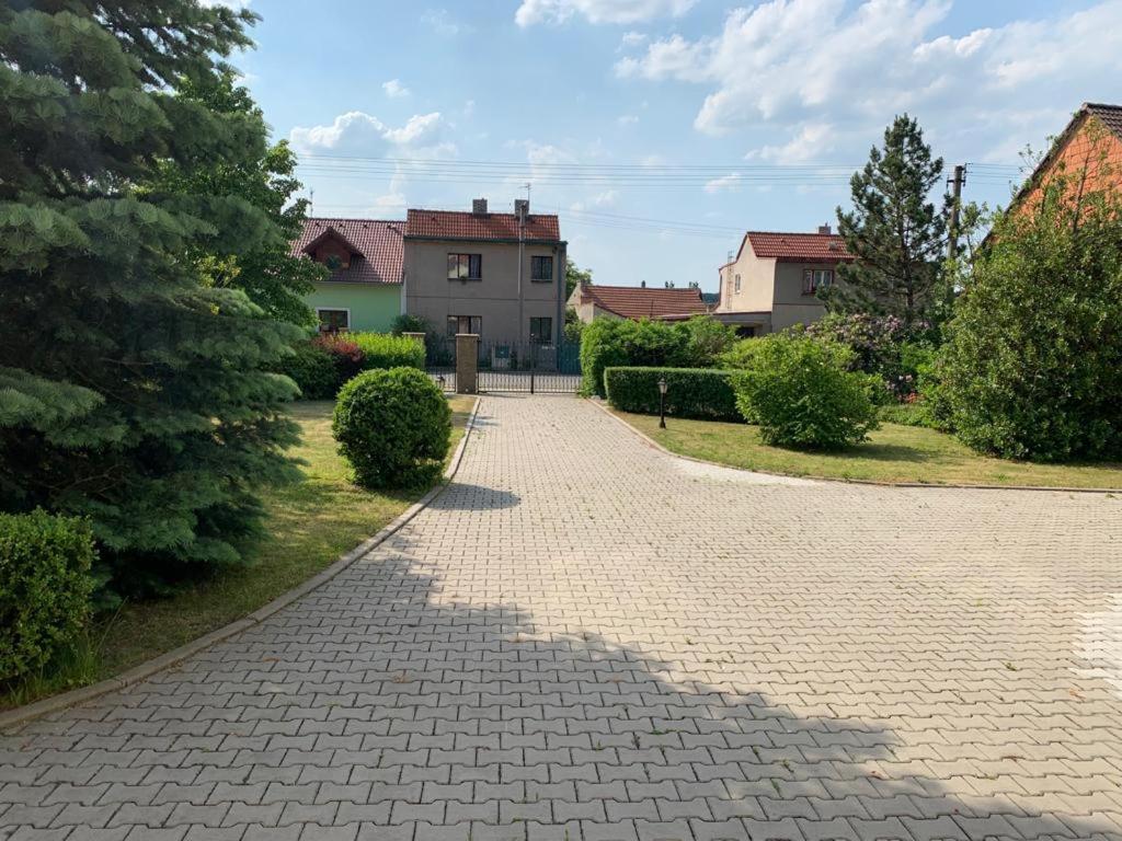 Dogs Resort And Spa Horni Bezdekov Εξωτερικό φωτογραφία