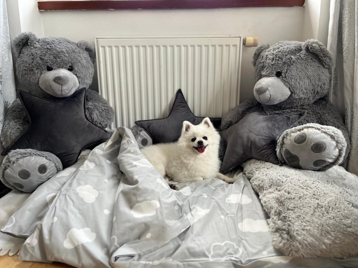 Dogs Resort And Spa Horni Bezdekov Εξωτερικό φωτογραφία