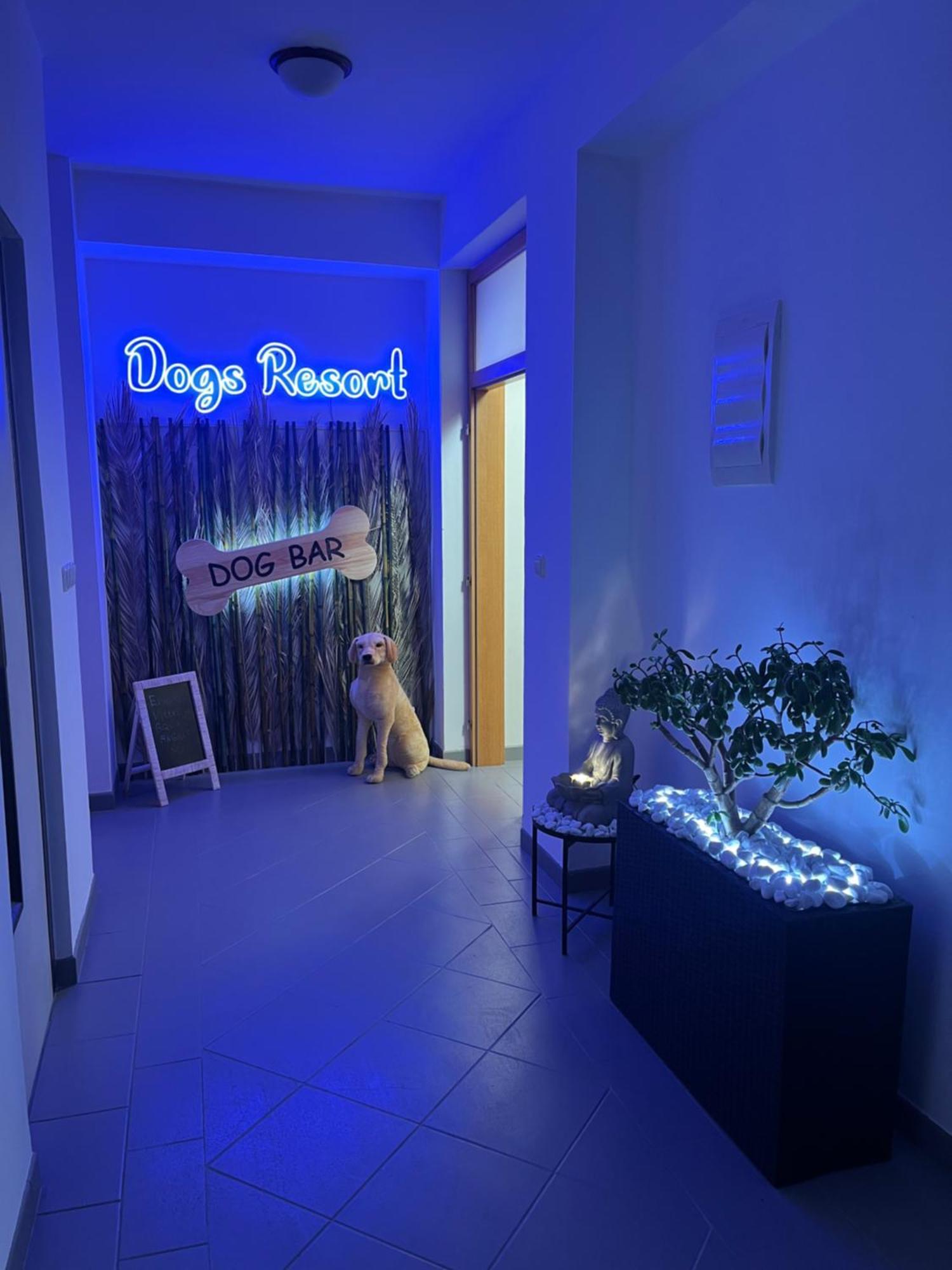 Dogs Resort And Spa Horni Bezdekov Εξωτερικό φωτογραφία